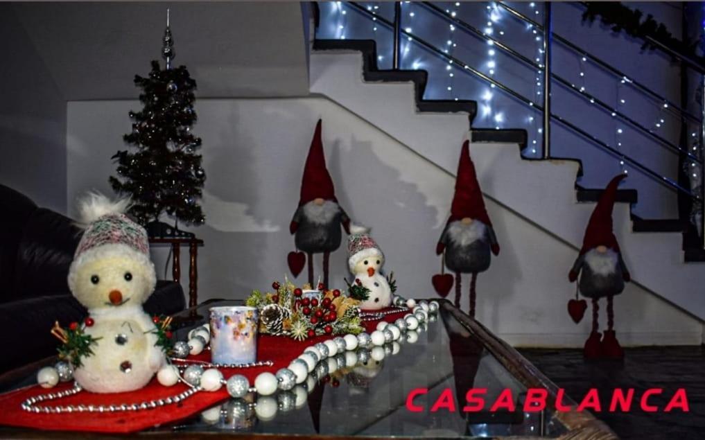 Casablanca Hostel Craiova Exterior photo